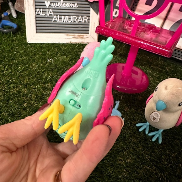 Three live pet birds 🐦 - Picture 10 of 12